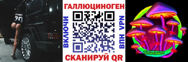 Купить  Торжок  Псилоцибиновые грибы Psilocybe 
